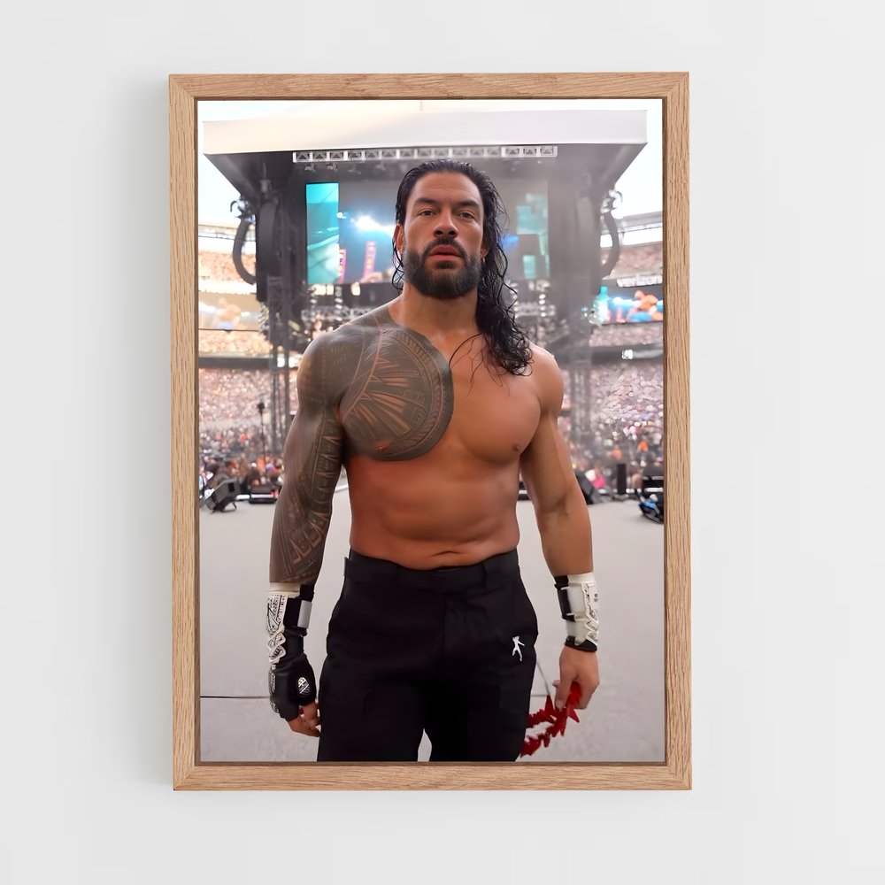 Poster Roman reigns (vue 4)